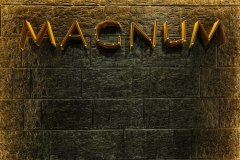 INDIVIDUAL ORDER (Magnum Hotel)